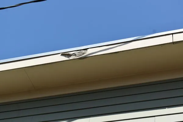 Bannister Custom Exteriors