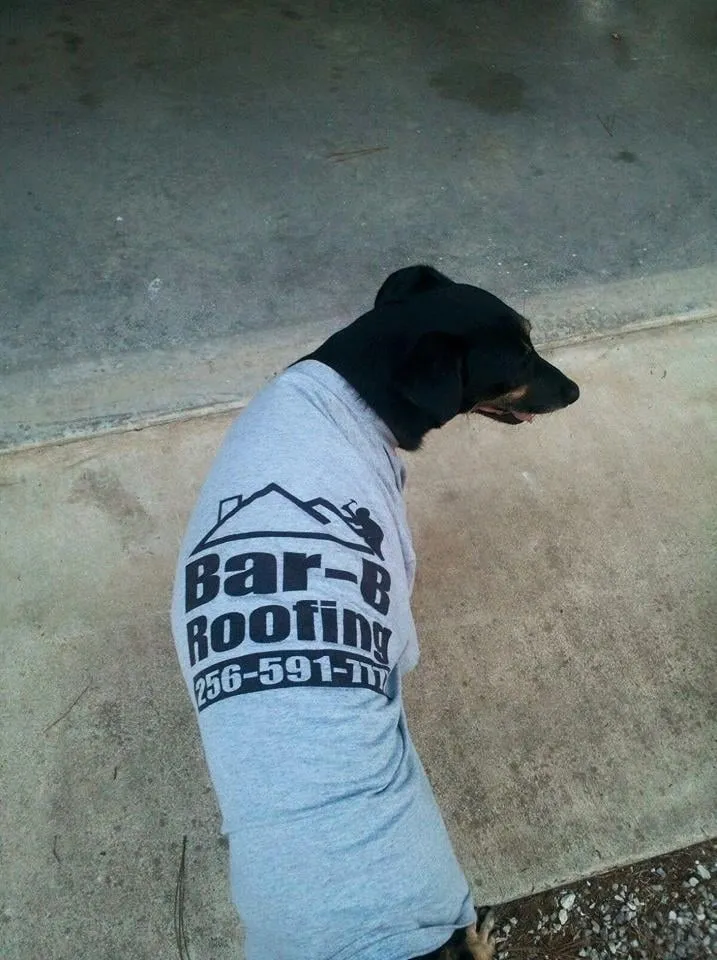 Slide of Bar B Windows & Roofing