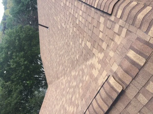 Slide of Bardi's Construction Up On The Roof