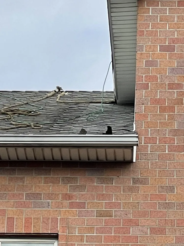 Slide of Bari & Sons Construction