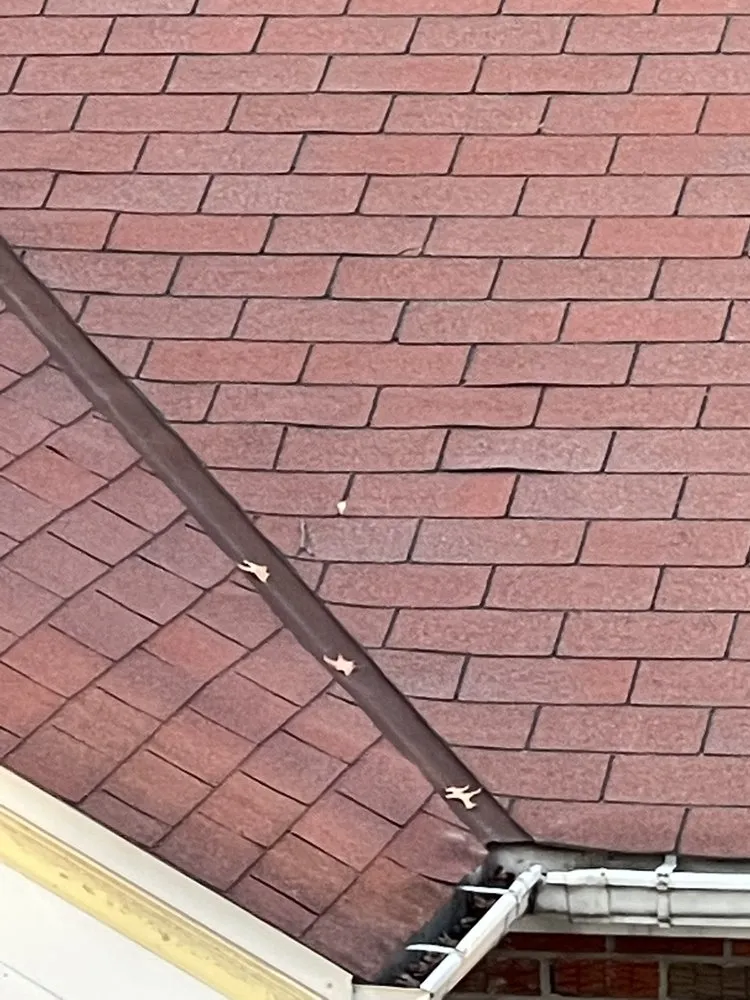 Slide of Bari & Sons Construction