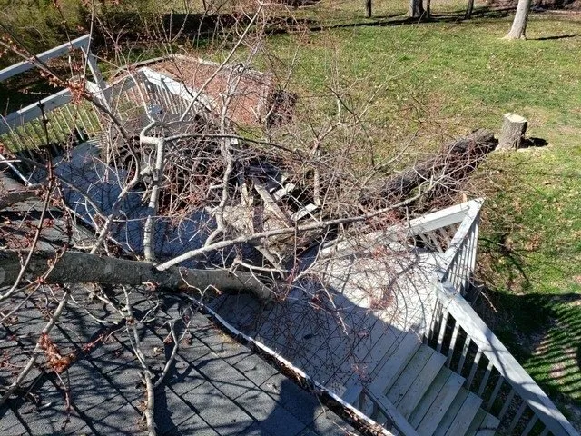 Slide of Barnes Restoration