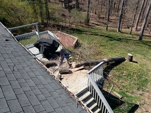 Slide of Barnes Restoration