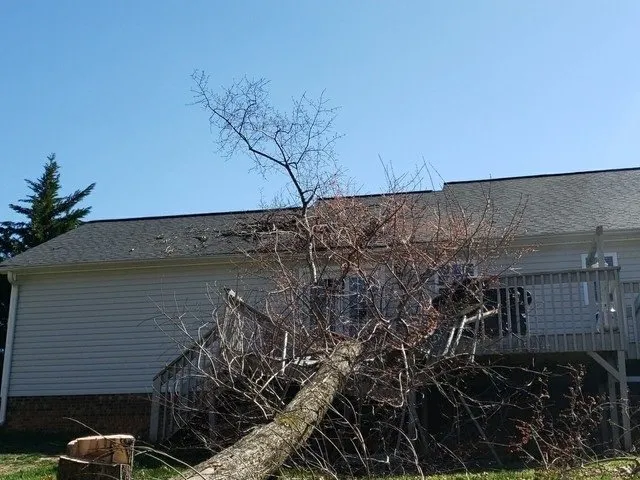 Slide of Barnes Restoration