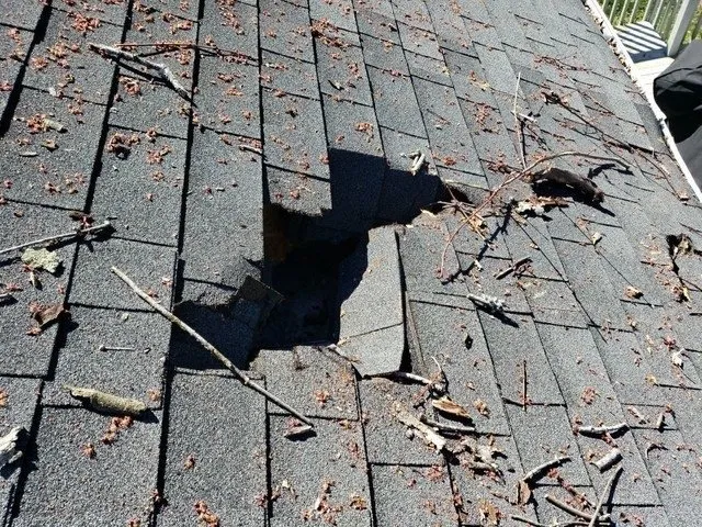 Slide of Barnes Restoration