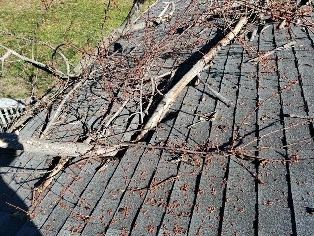 Slide of Barnes Restoration