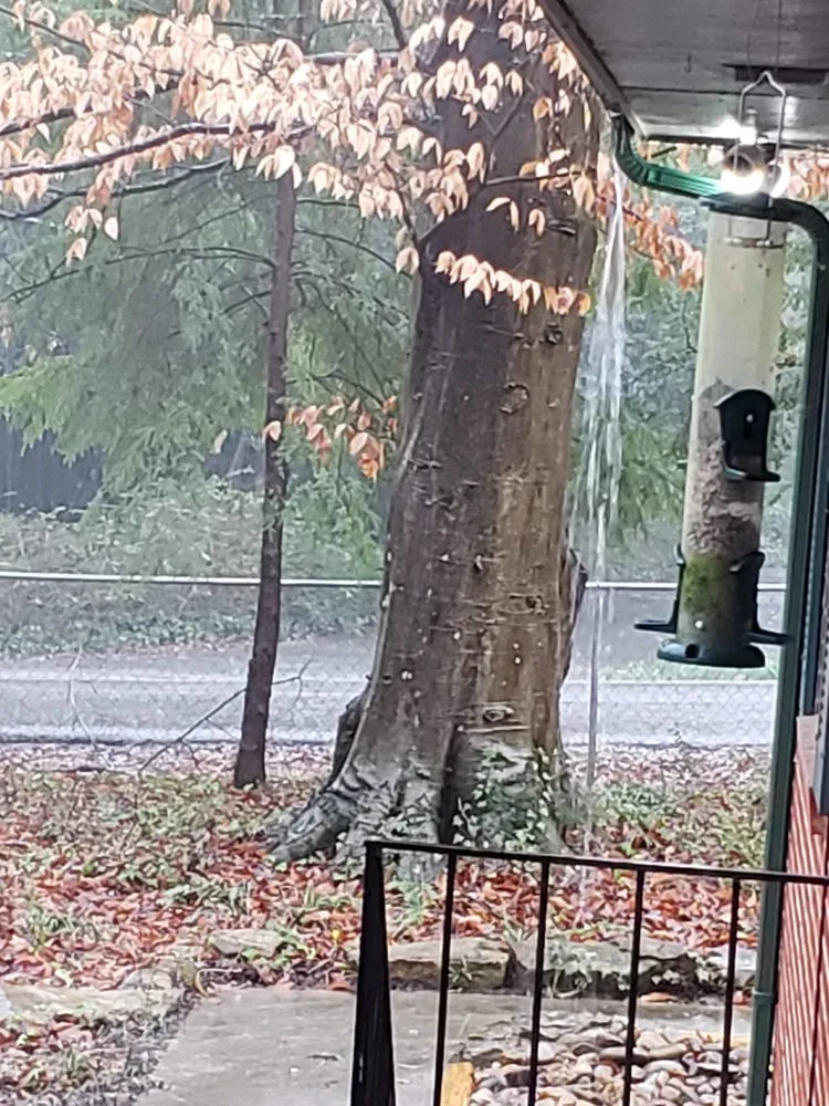 Slide of Barnett Roofing