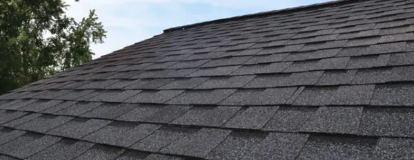 Barr None Construction Logo