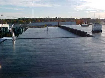 Slide of Bart's Roof Repairs