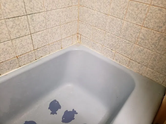 Slide of Basa Construction