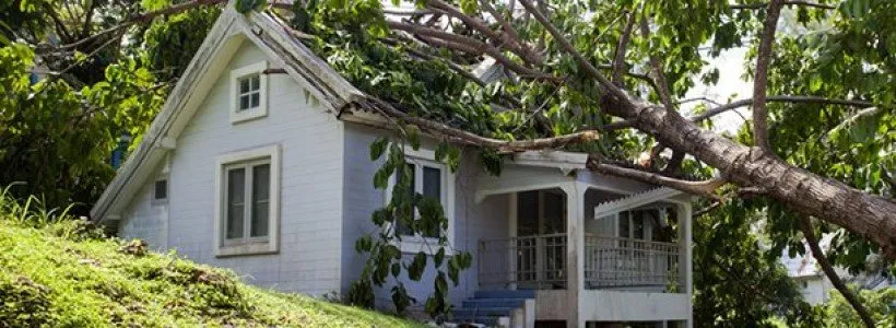 Slide of Basey's Roofing