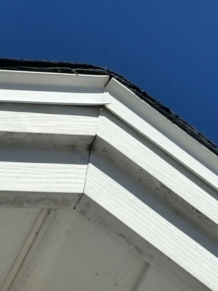 Professional shingle roofing service in Oxford, FL - Batterbee Roofing