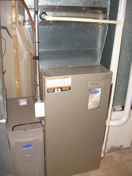 Slide of Bauernfeind Goedtel