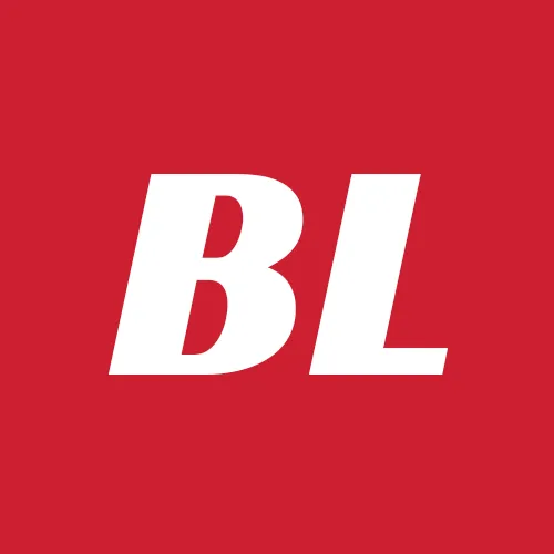 Slide of BauMeishter