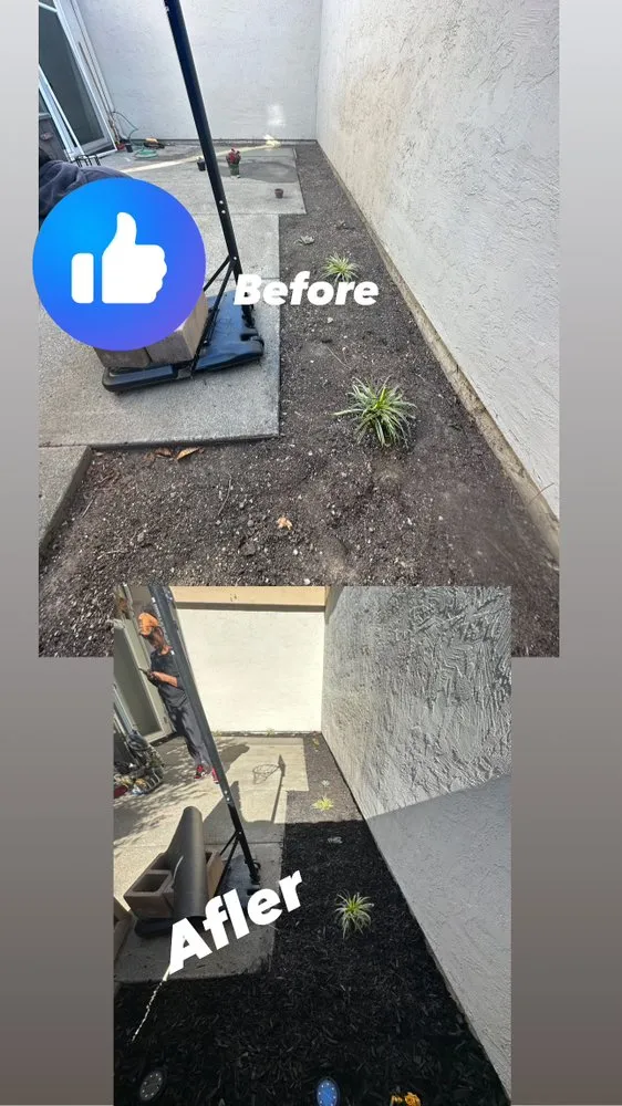 Slide of Bautista painting