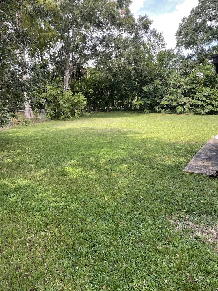 Slide of Bay Area Landscape and Pressure Washing