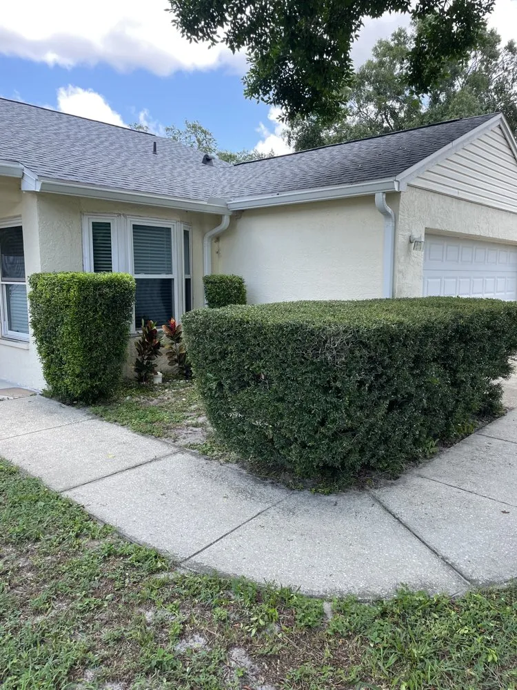 Slide of Bay Area Landscape and Pressure Washing