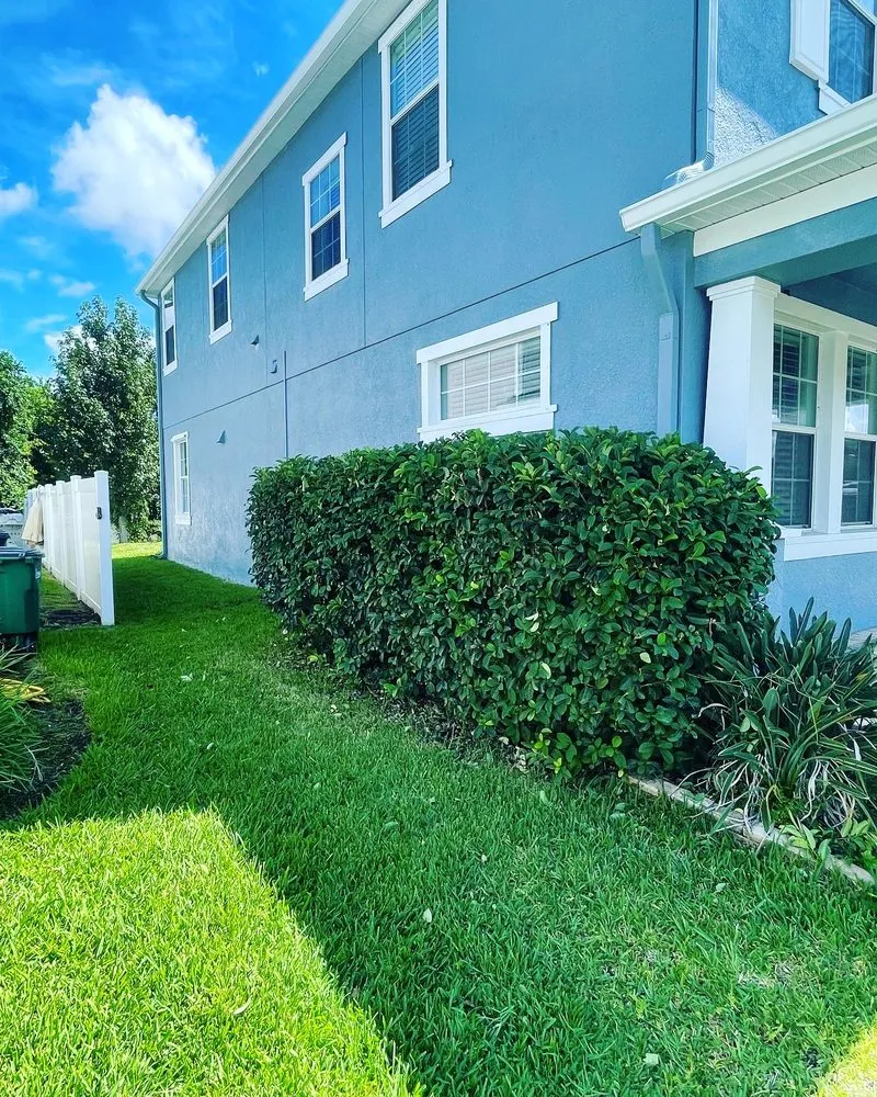 Slide of Bay Area Landscape and Pressure Washing