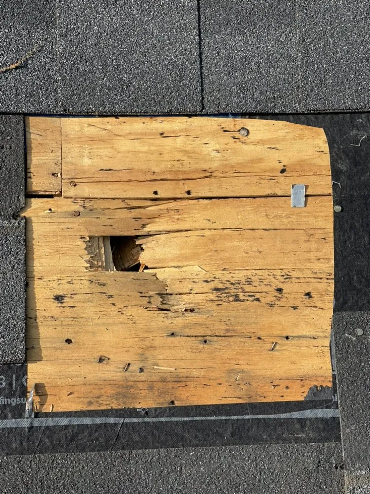 Slide of Bay Area Restoration