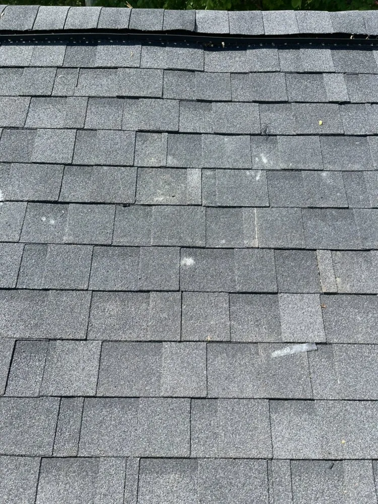 Slide of Bay Area Restoration