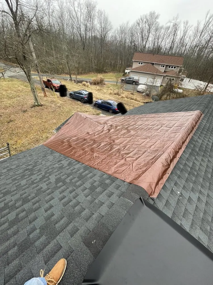 Slide of Bay Area Restoration