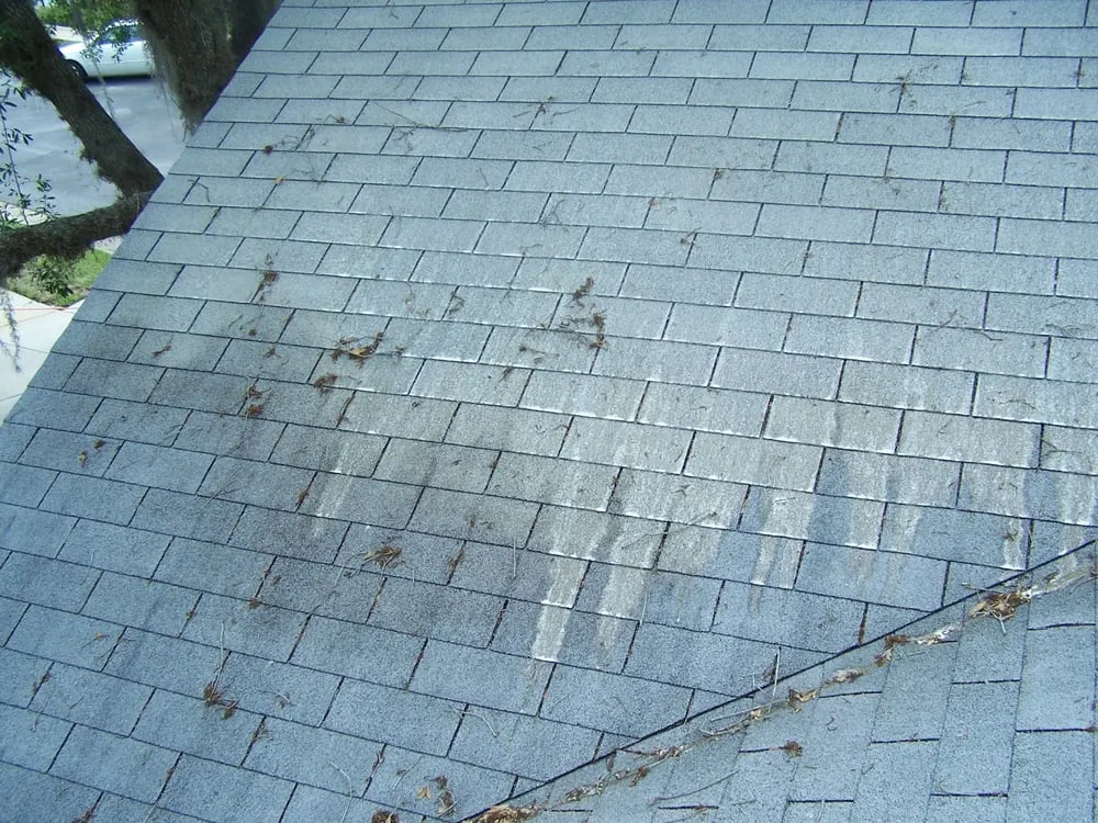 Slide of Bay Area Roof Cleaning
