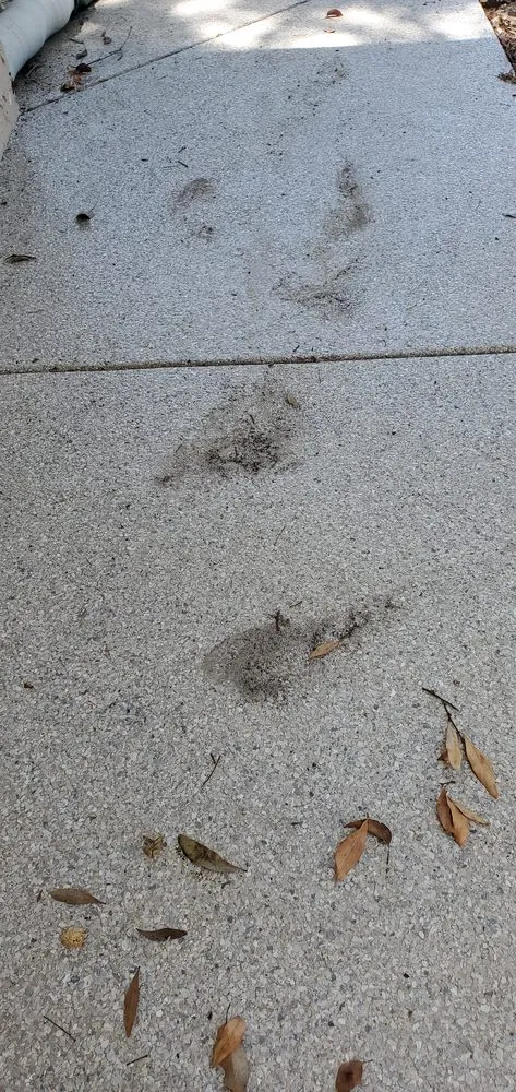 Slide of BAY TO BAY EXTERIOR CLEANERS