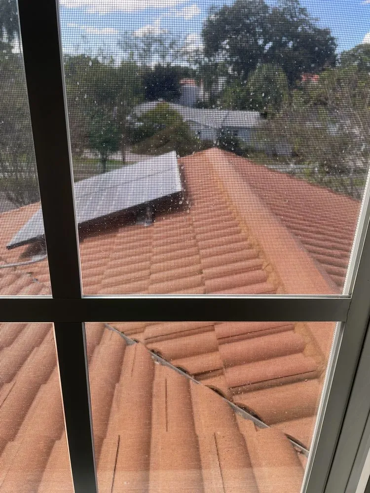 Slide of BAY TO BAY EXTERIOR CLEANERS