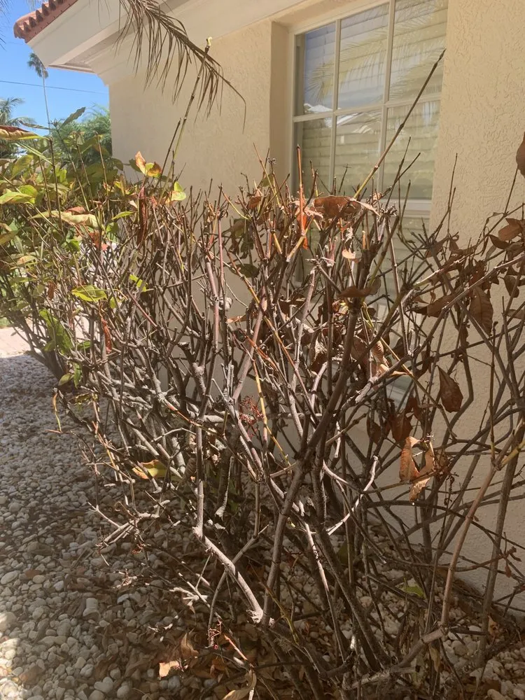 Slide of BAY TO BAY EXTERIOR CLEANERS