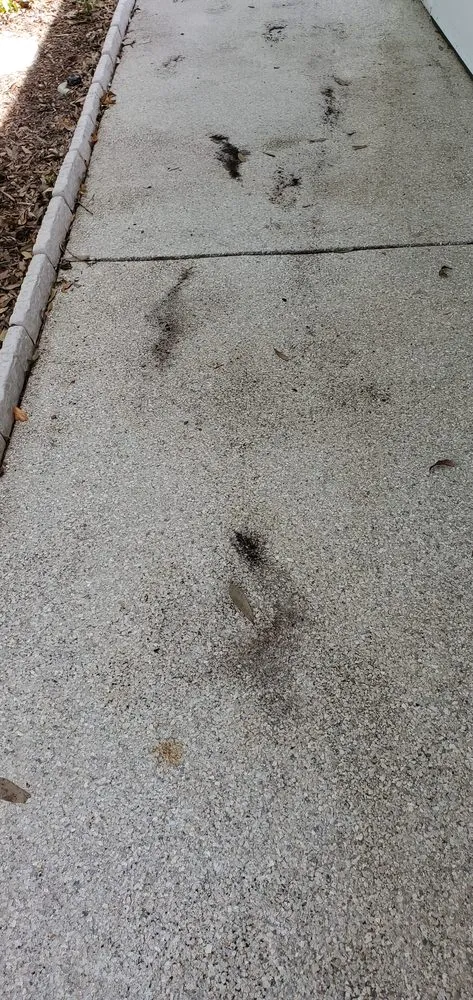 Slide of BAY TO BAY EXTERIOR CLEANERS