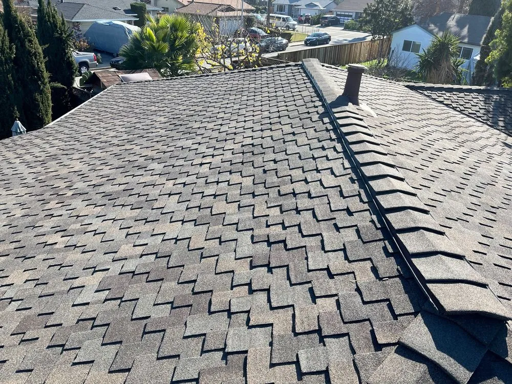 Slide of Bayshore Roofing