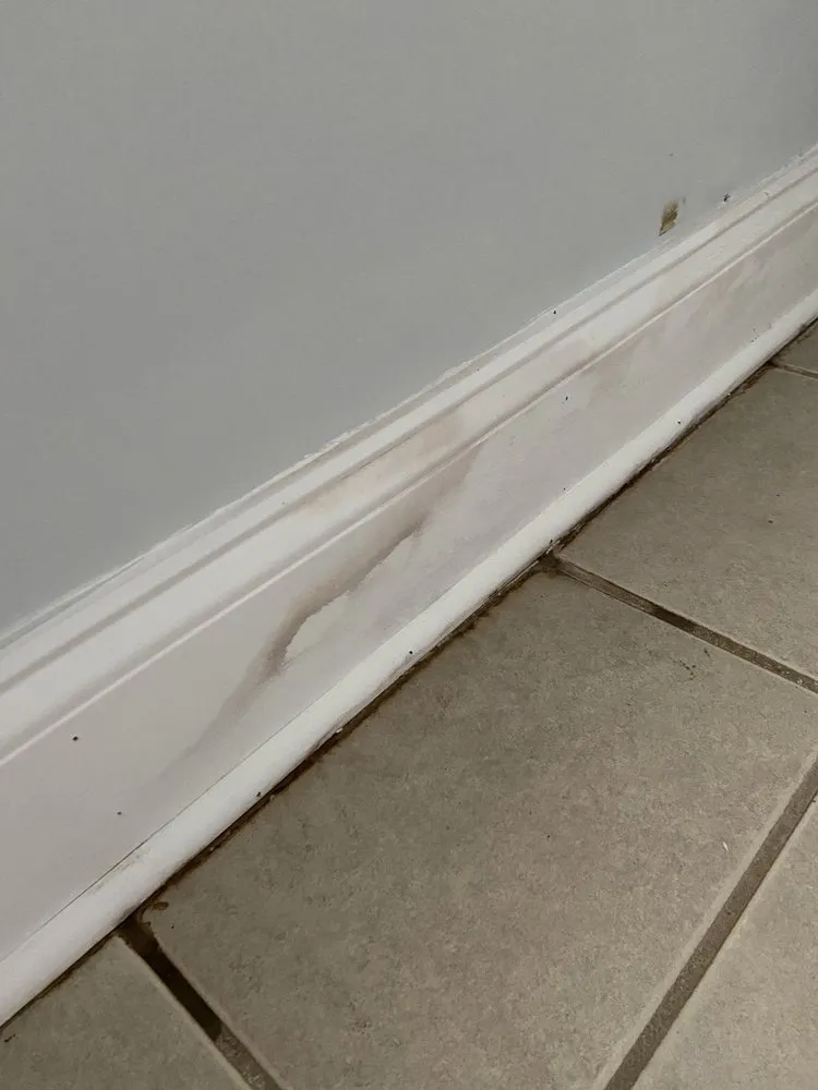 Slide of BBAV Roofing