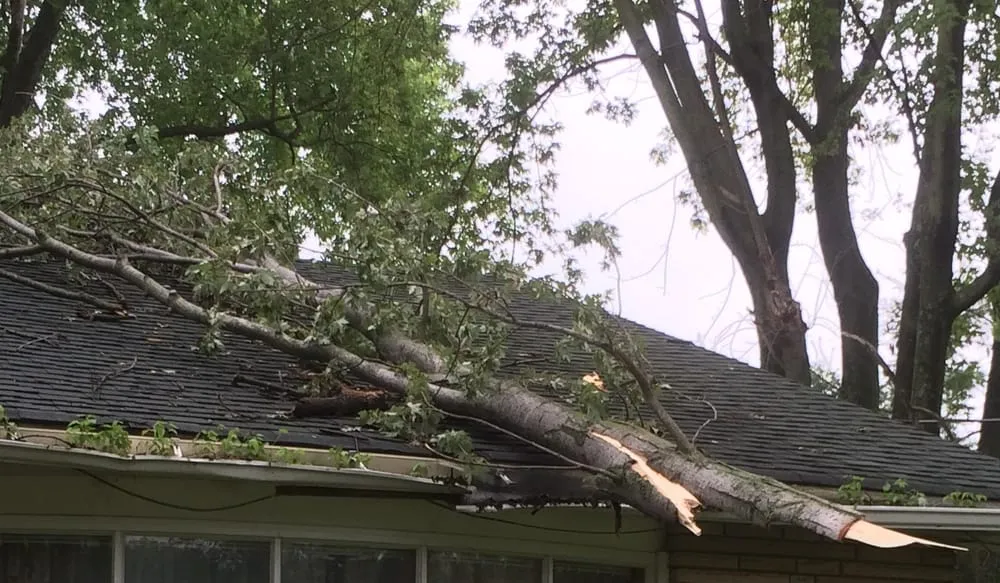 Slide of BC Construction Services