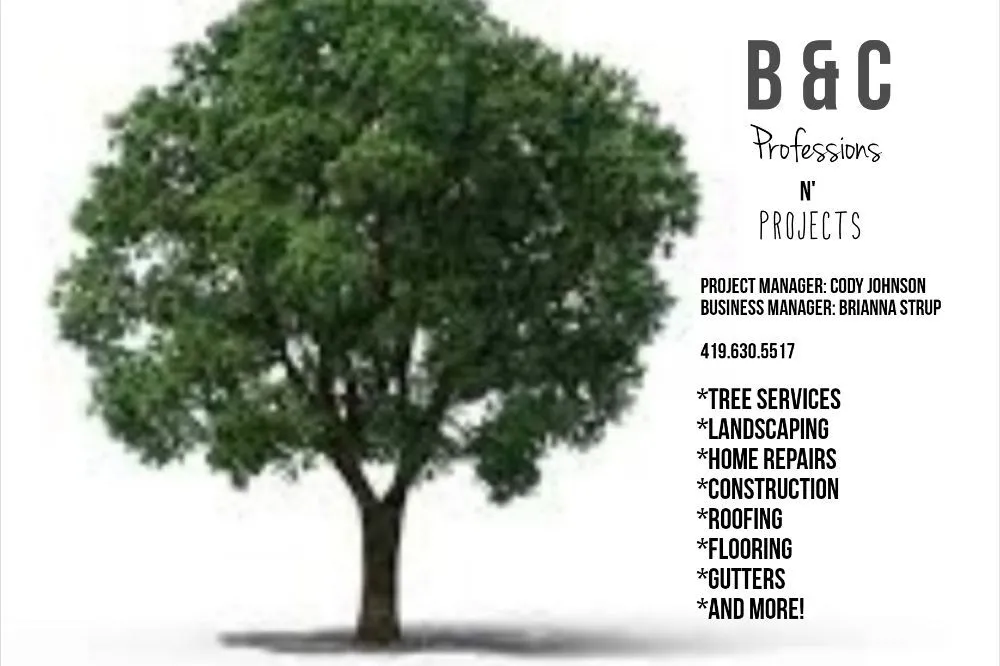 Slide of B&C Professions n Professions