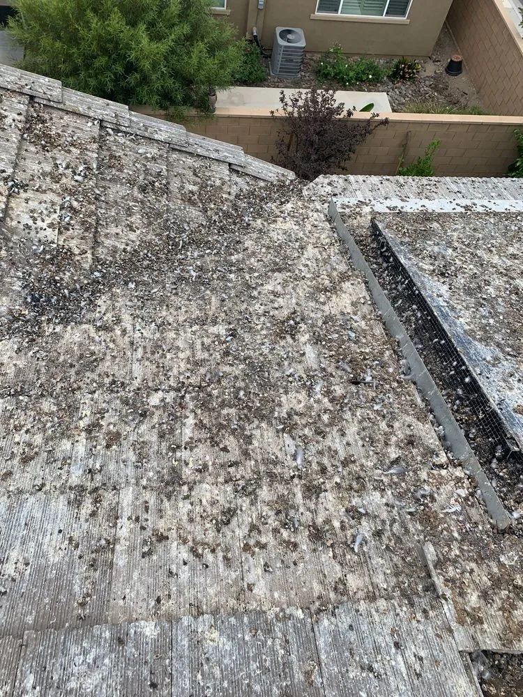 Slide of BC Solar Solutions