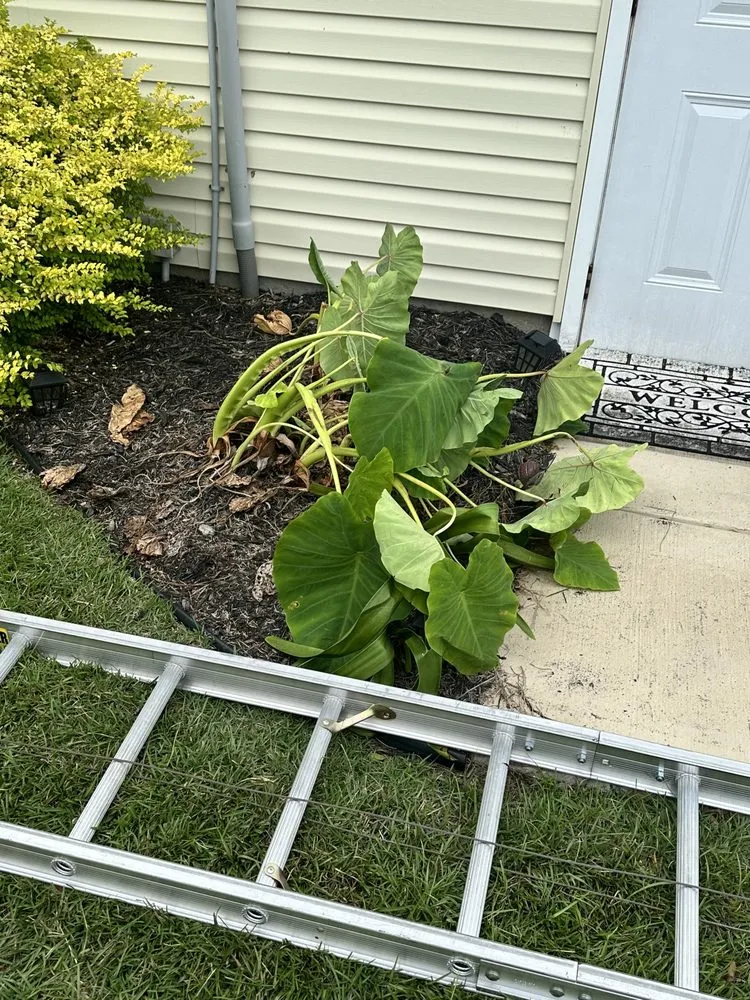 Slide of BCI Shingle Specialist