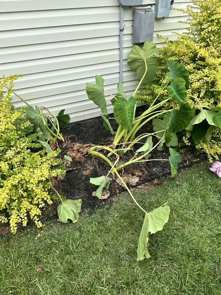 Slide of BCI Shingle Specialist