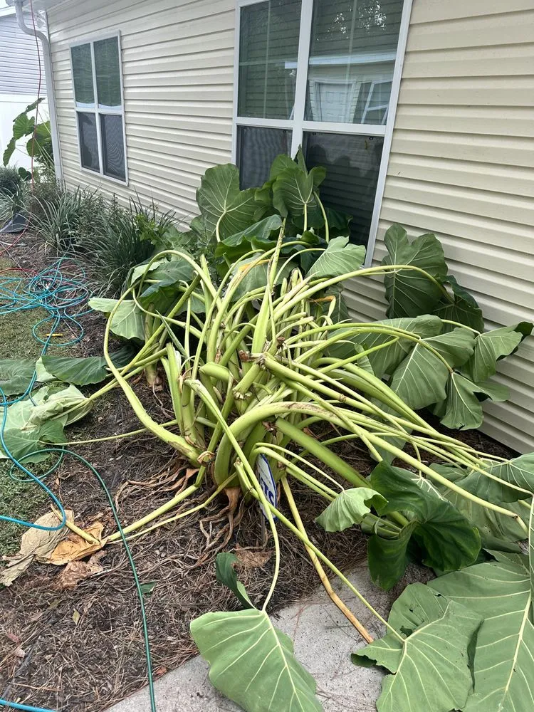 Slide of BCI Shingle Specialist