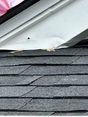 BCI Shingle Specialist