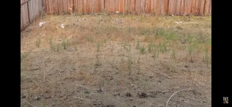 Slide of BCS Construction