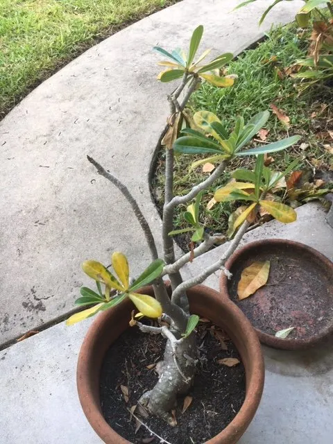 Slide of Beacon Cleaning