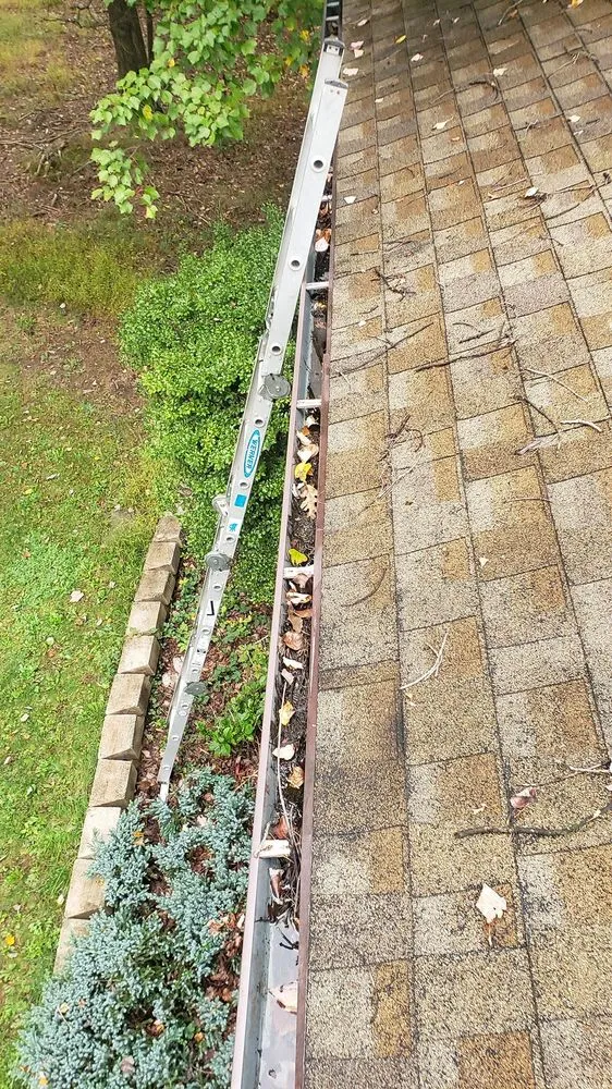 Local roof installation near you across Sciota, PA - Bear & Sesame