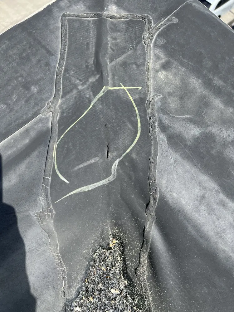 Slide of Bear It Restoration