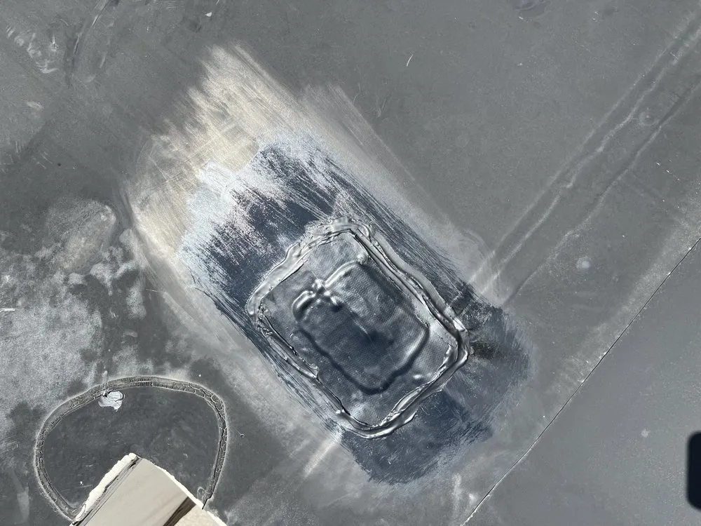 Slide of Bear It Restoration