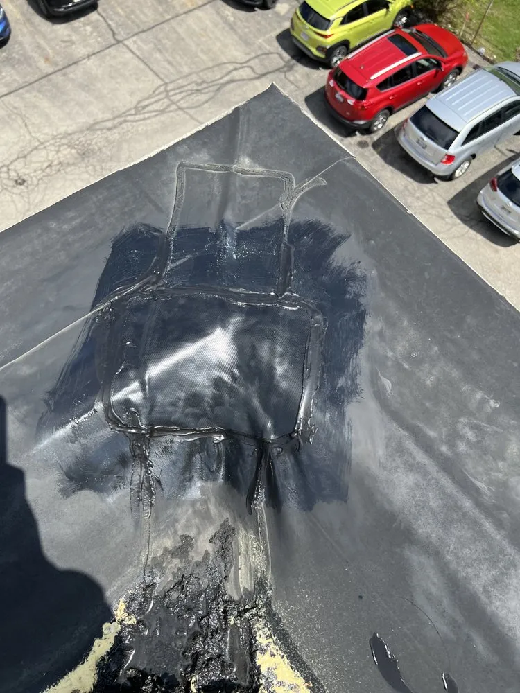 Slide of Bear It Restoration