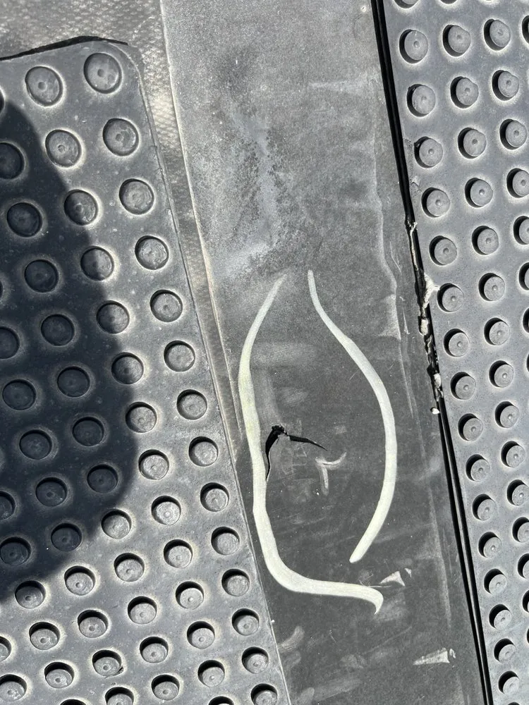 Slide of Bear It Restoration