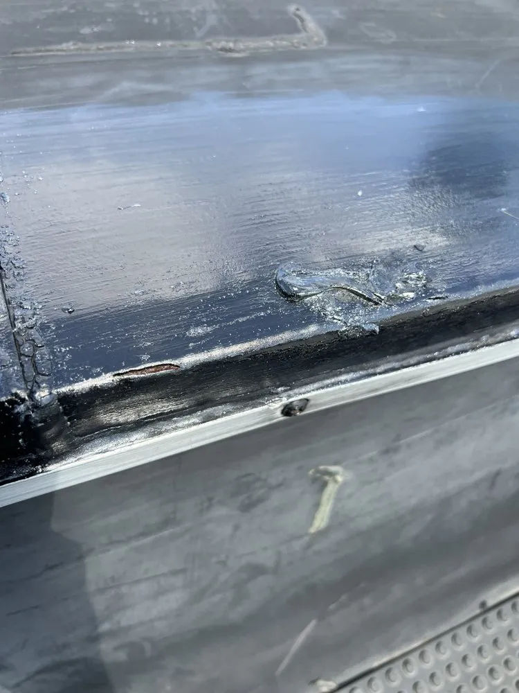 Slide of Bear It Restoration