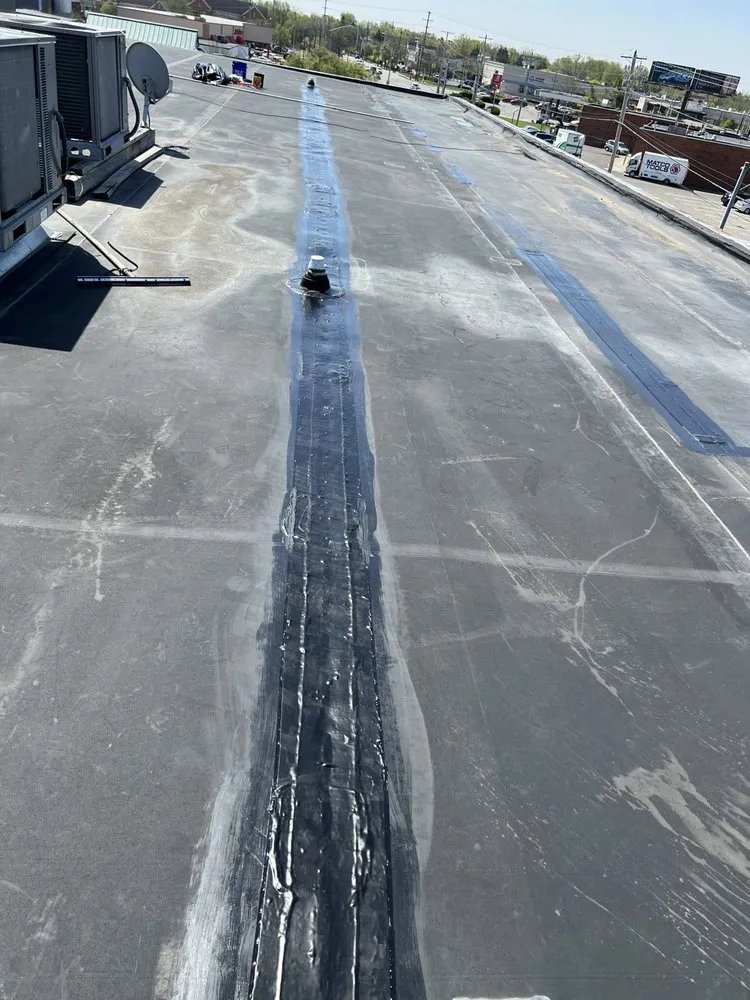 Slide of Bear It Restoration