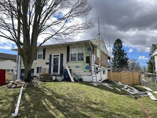 Bear It Restoration Logo