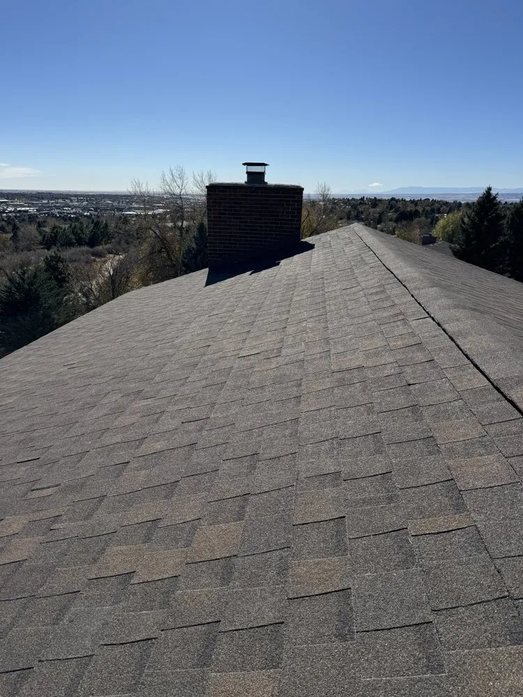 Slide of Bear Restoration